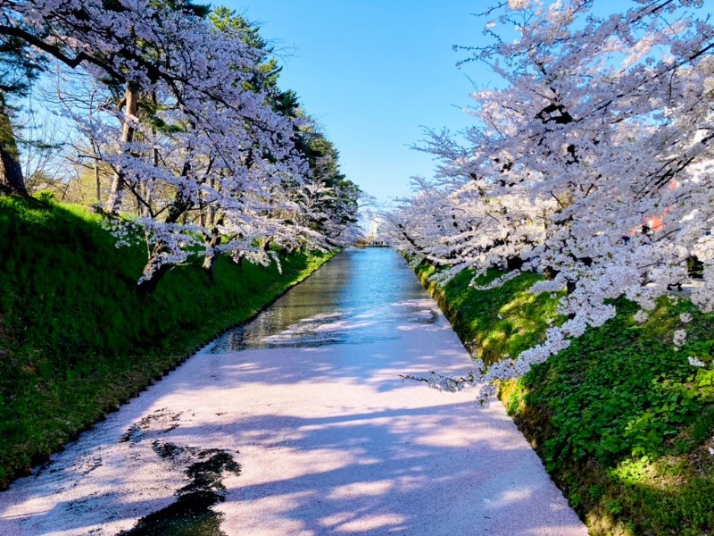 はにわさんの境関温泉のサ活写真