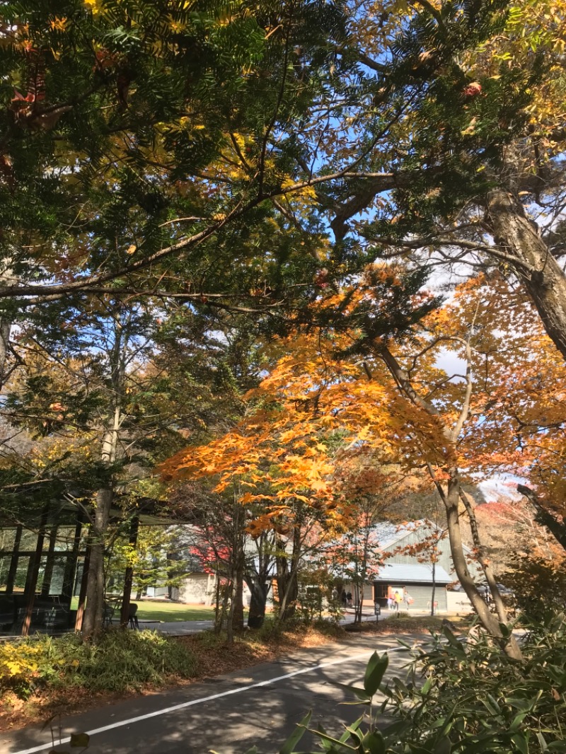 町田KARAイクゾウさんの星野温泉 トンボの湯のサ活写真