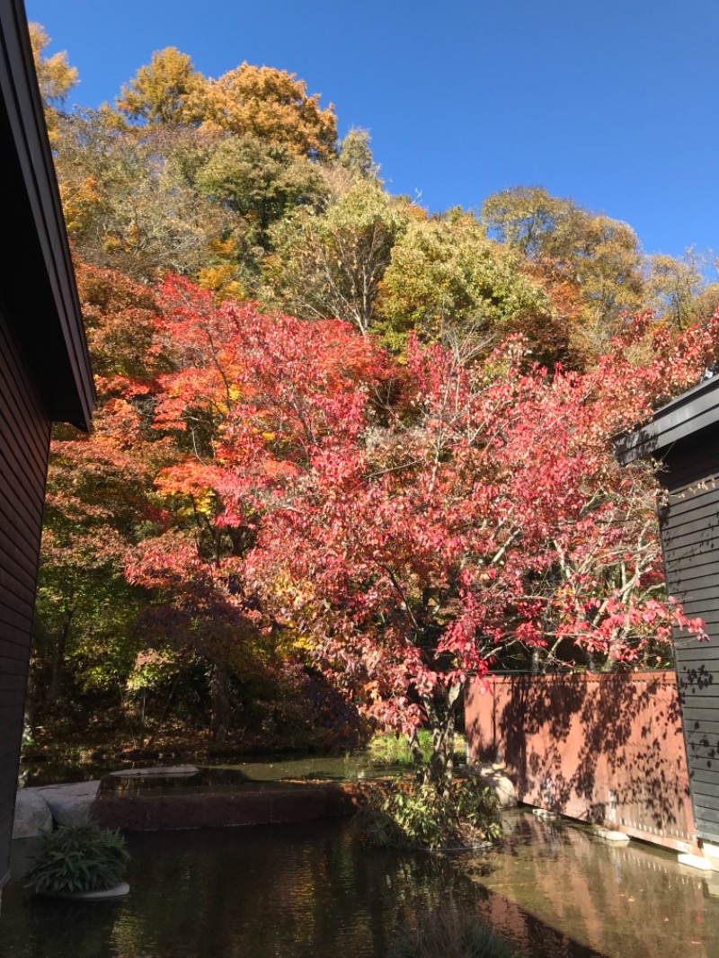 町田KARAイクゾウさんの星野温泉 トンボの湯のサ活写真