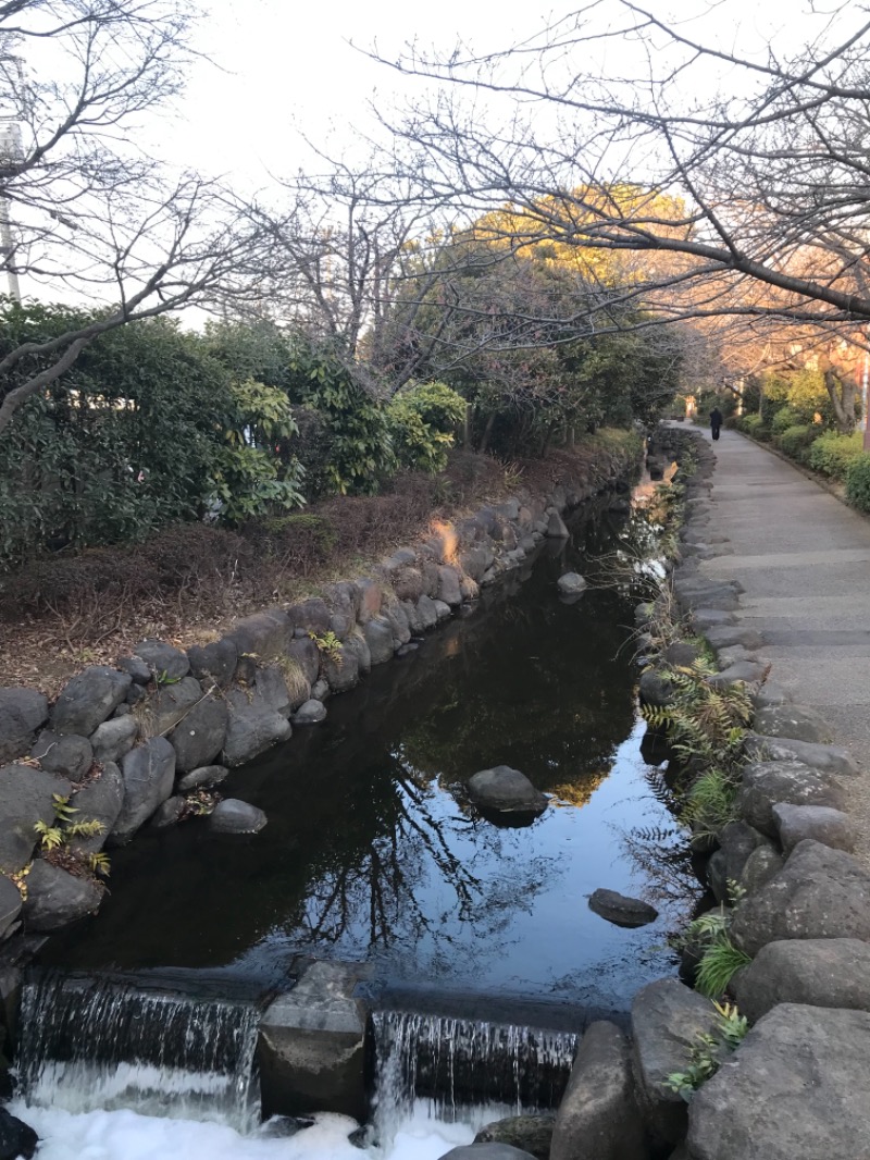 町田KARAイクゾウさんの乙女湯のサ活写真