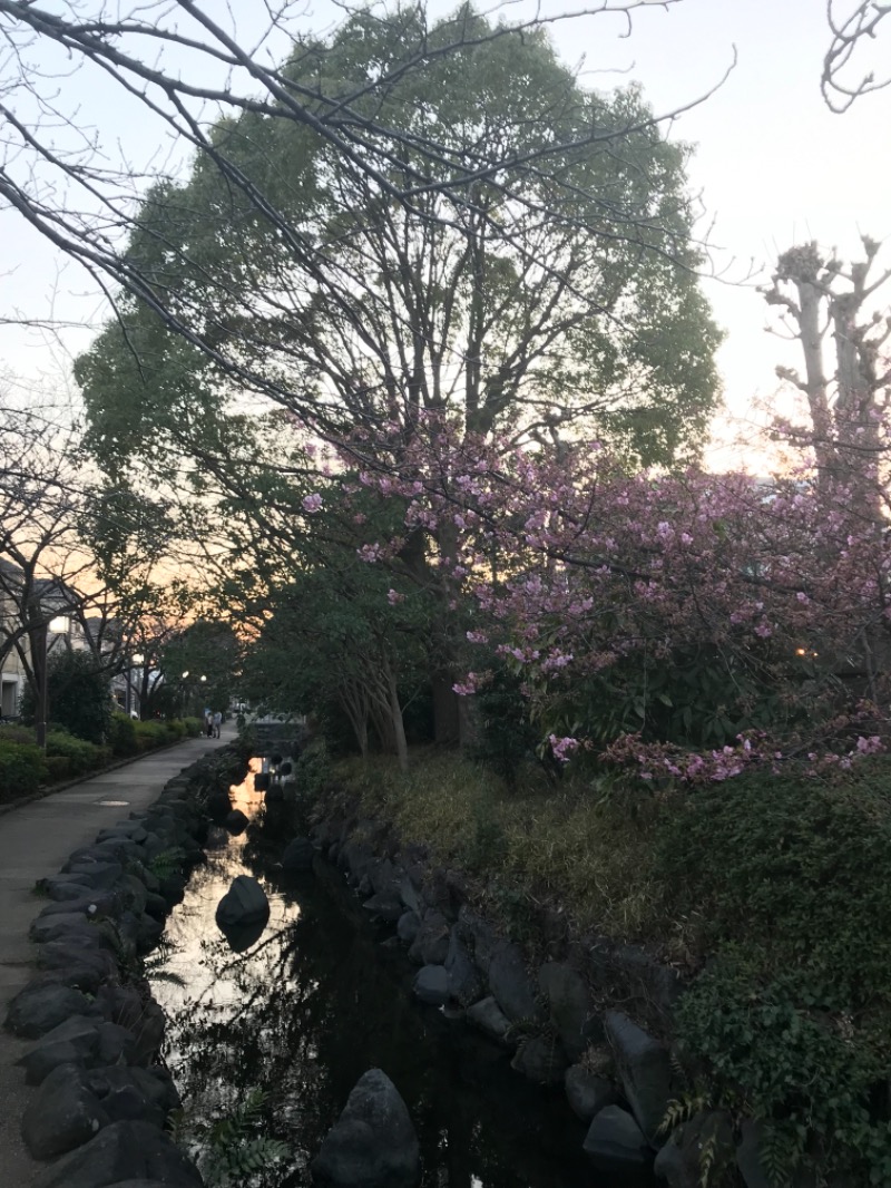 町田KARAイクゾウさんの乙女湯のサ活写真