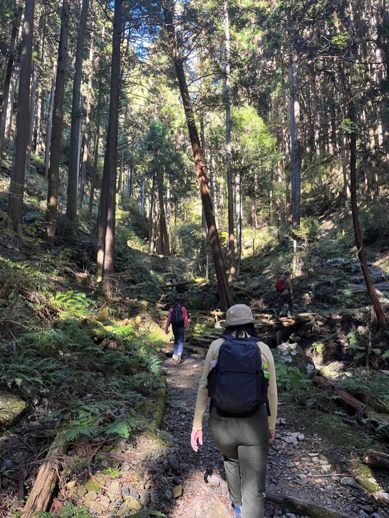 町田KARAイクゾウさんの稲荷湯のサ活写真