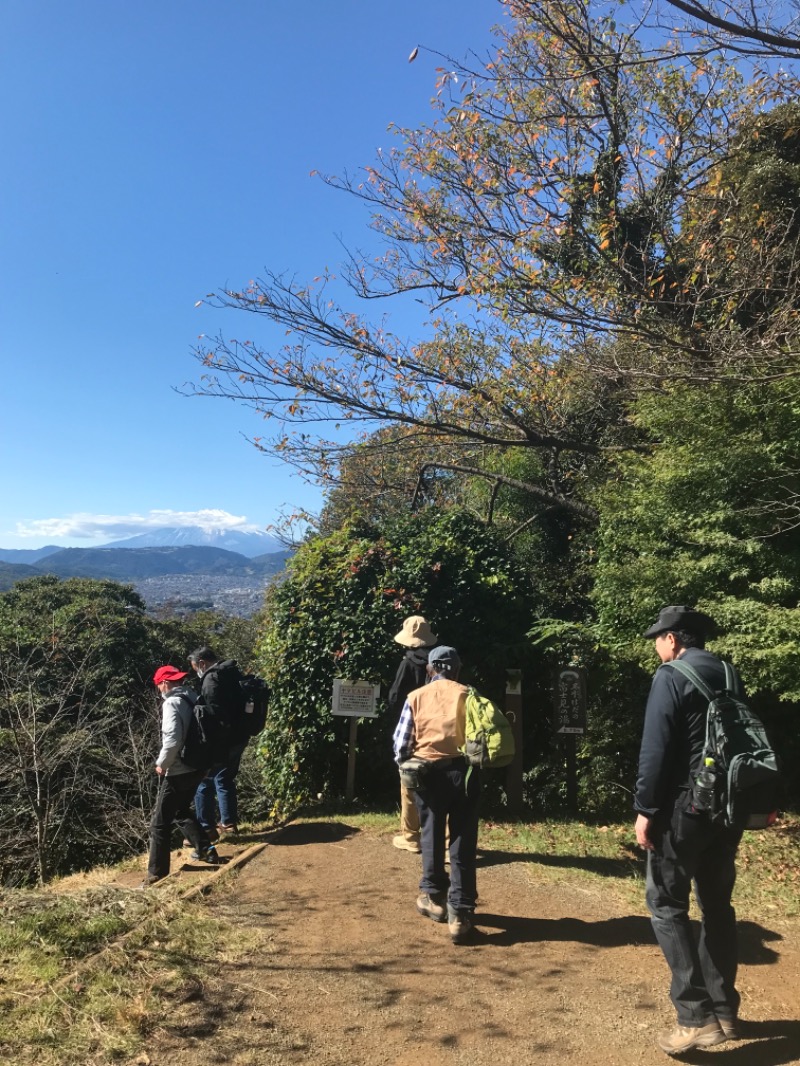 町田KARAイクゾウさんの名水はだの富士見の湯のサ活写真