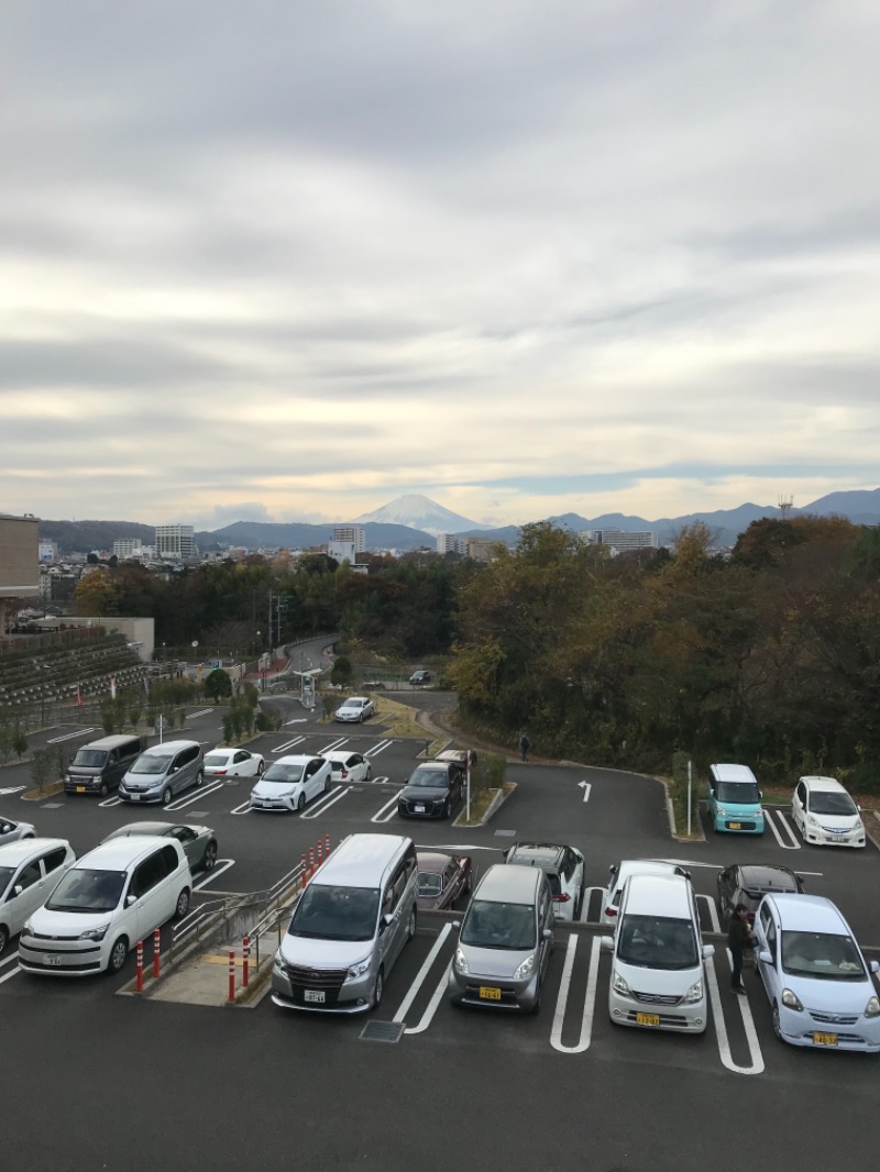 町田KARAイクゾウさんの名水はだの富士見の湯のサ活写真