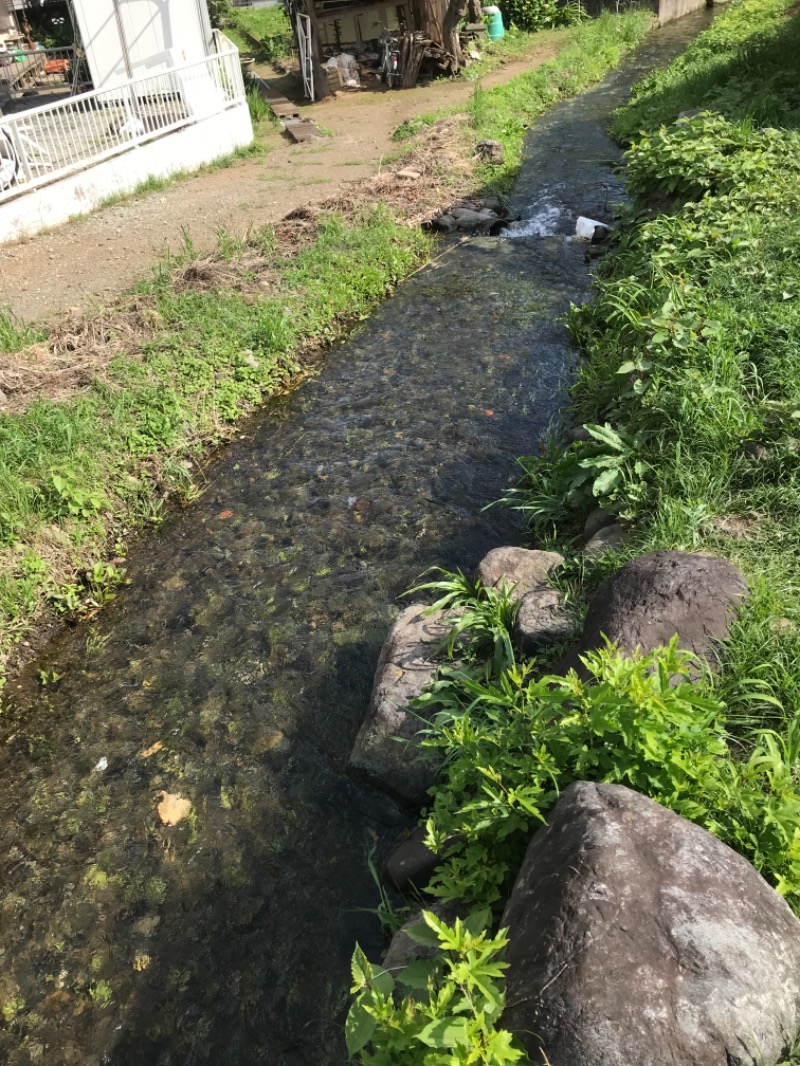 町田KARAイクゾウさんの名水はだの富士見の湯のサ活写真