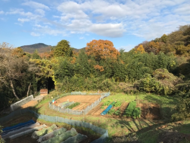 町田KARAイクゾウさんの名水はだの富士見の湯のサ活写真