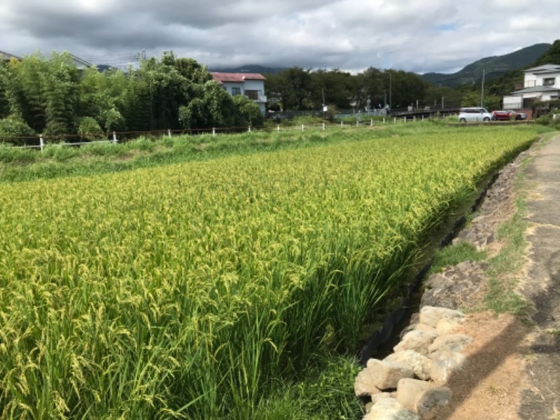 町田KARAイクゾウさんの名水はだの富士見の湯のサ活写真