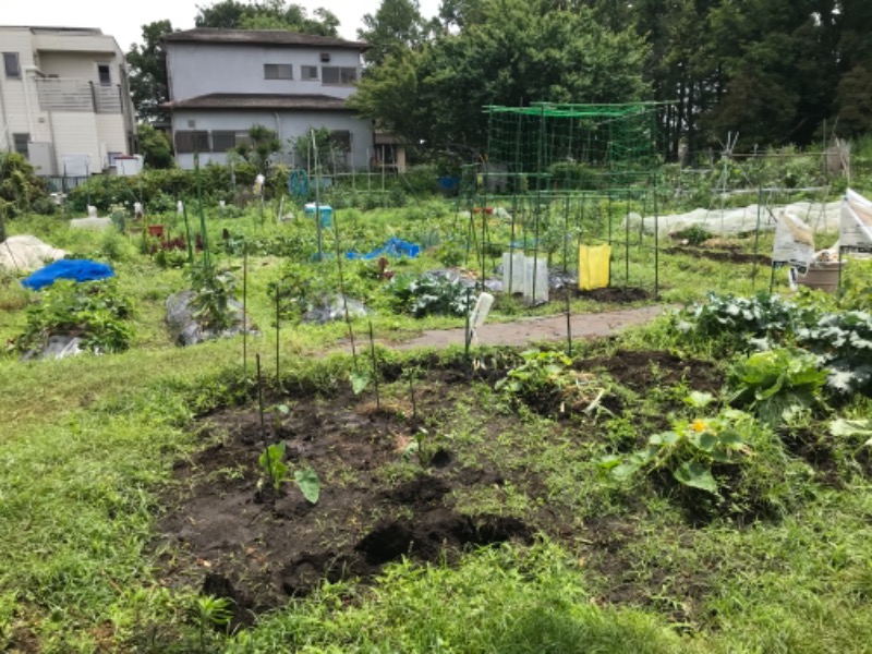 町田KARAイクゾウさんの亀の湯のサ活写真