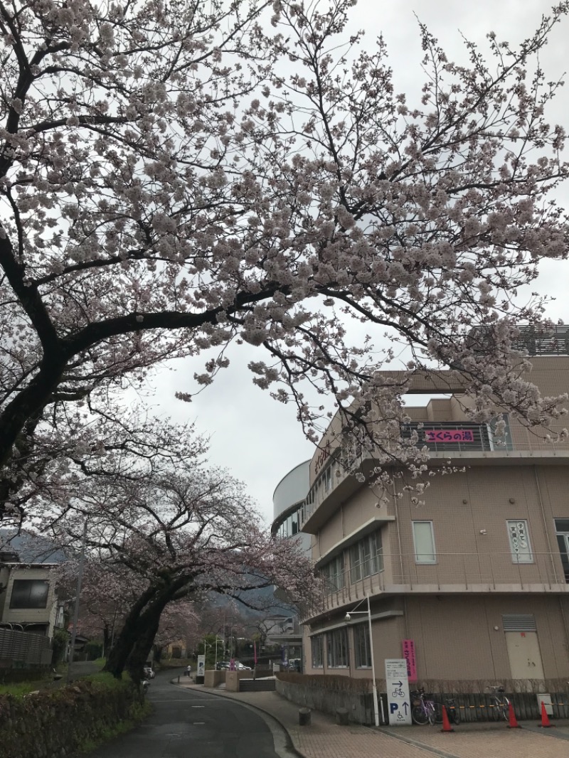 町田KARAイクゾウさんの山北町健康福祉センター さくらの湯のサ活写真