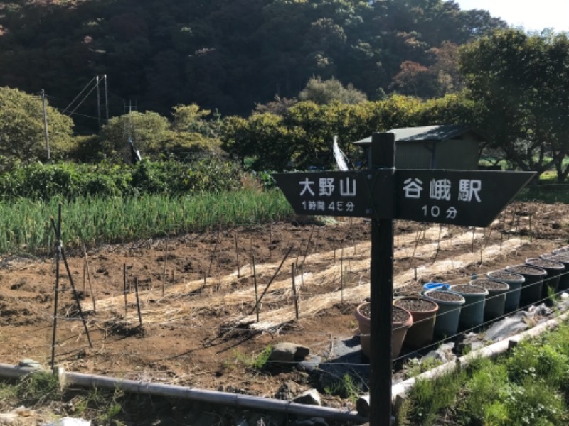 町田KARAイクゾウさんの山北町健康福祉センター さくらの湯のサ活写真