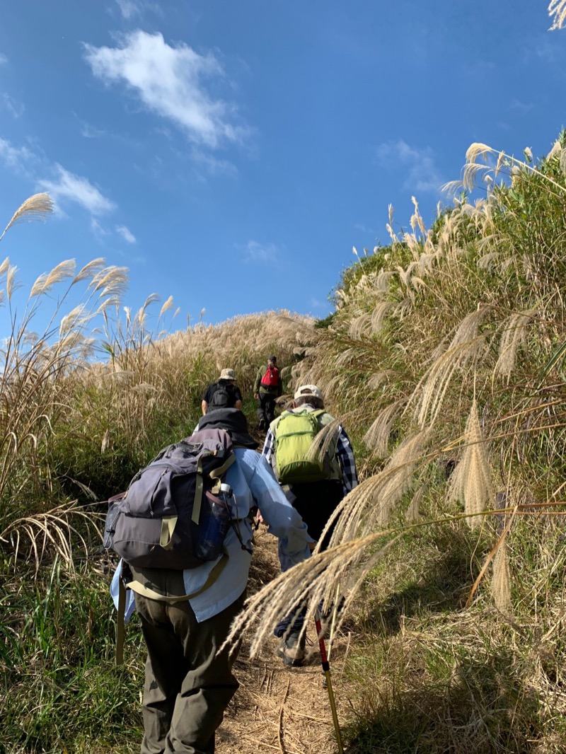 町田KARAイクゾウさんの山北町健康福祉センター さくらの湯のサ活写真