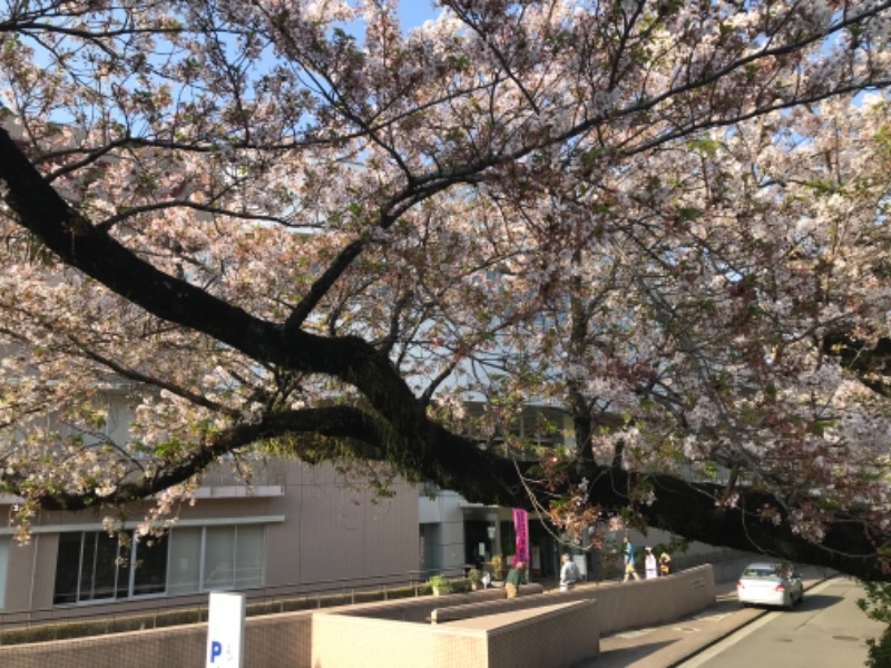 町田KARAイクゾウさんの山北町健康福祉センター さくらの湯のサ活写真