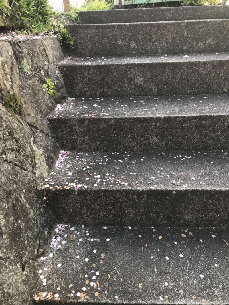 町田KARAイクゾウさんの山北町健康福祉センター さくらの湯のサ活写真