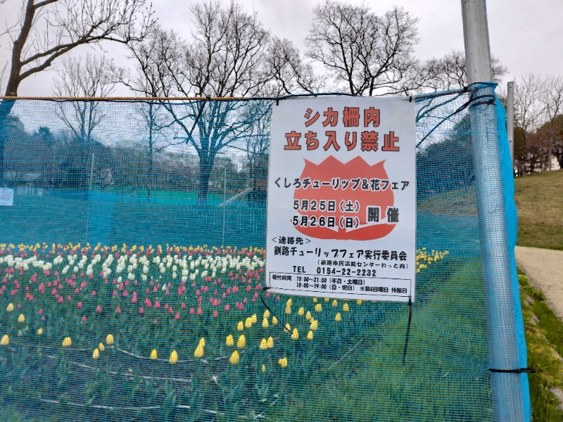 ☆☆ヒロテテ☆☆さんの天然温泉 大喜湯昭和店のサ活写真