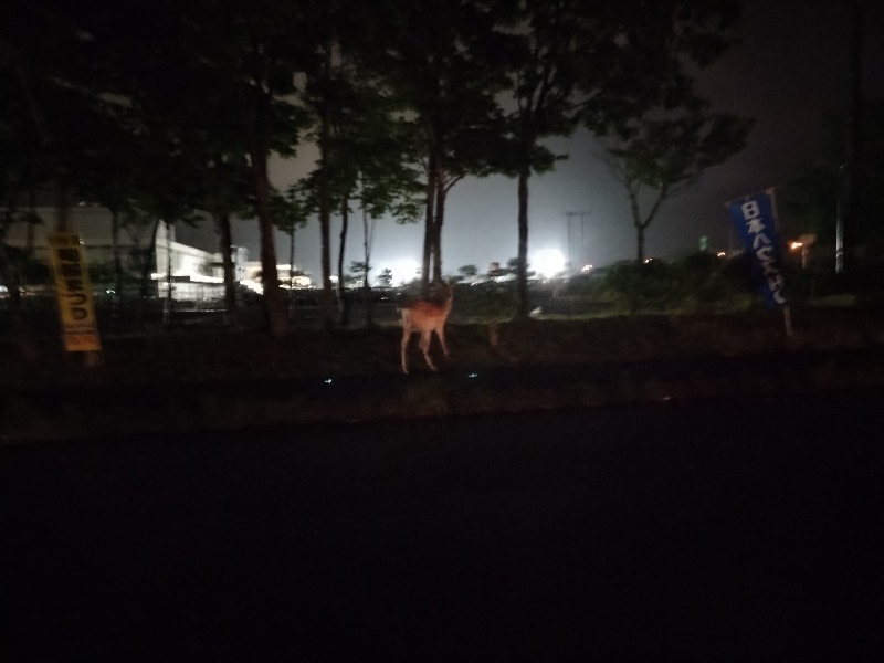 ☆☆ヒロテテ☆☆さんの天然温泉 大喜湯昭和店のサ活写真