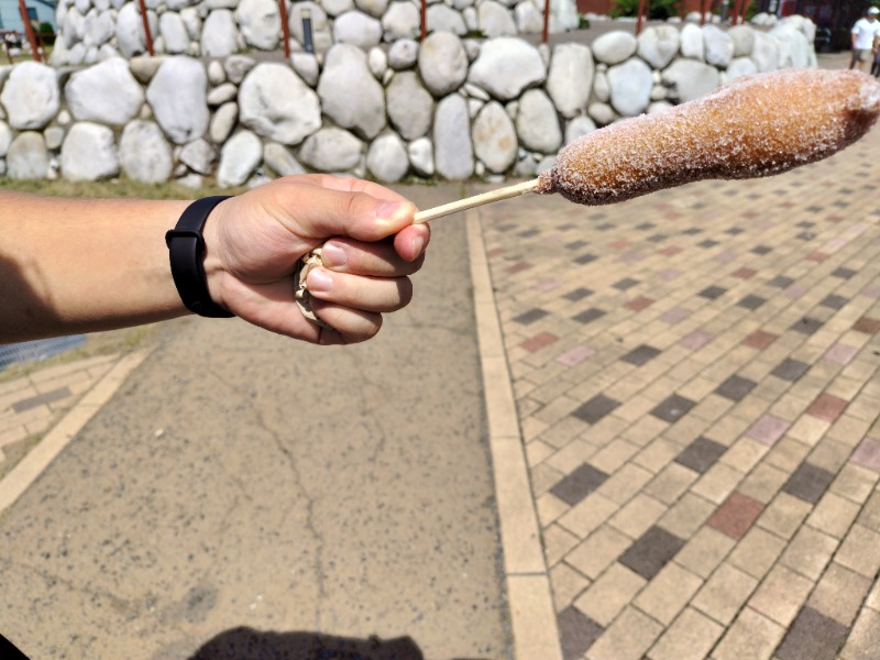 ☆☆ヒロテテ☆☆さんの天然温泉 ふみぞの湯のサ活写真