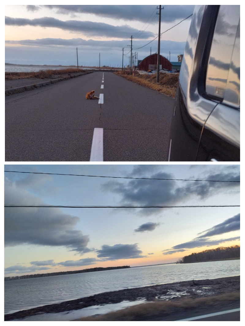 ☆☆ヒロテテ☆☆さんの公衆浴場くすのき(ホテル楠)のサ活写真