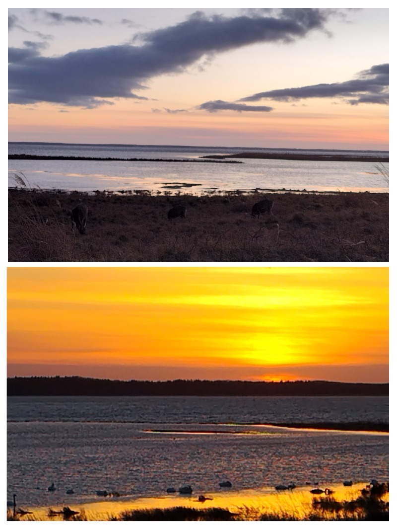 ☆☆ヒロテテ☆☆さんの公衆浴場くすのき(ホテル楠)のサ活写真