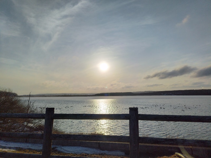 ☆☆ヒロテテ☆☆さんのぽん・ぽんゆのサ活写真