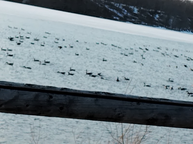 ☆☆ヒロテテ☆☆さんのぽん・ぽんゆのサ活写真