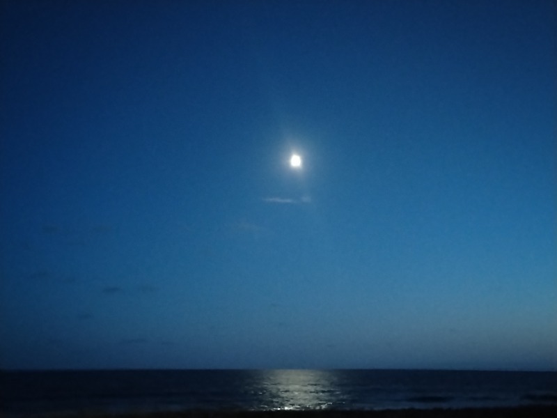 ☆☆ヒロテテ☆☆さんの道の駅 しらぬか恋問館のサ活写真