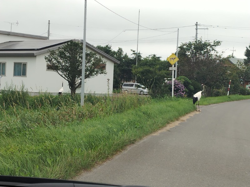 ☆☆ヒロテテ☆☆さんのグリーン温泉のサ活写真