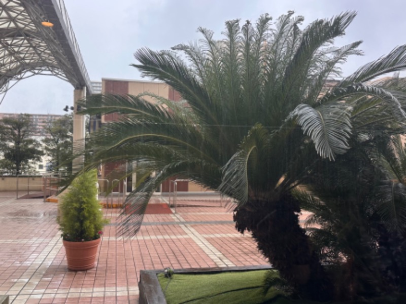 かとちんさんの天然温泉 平和島のサ活写真