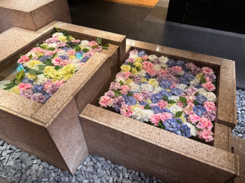 かとちんさんの綱島源泉 湯けむりの庄のサ活写真