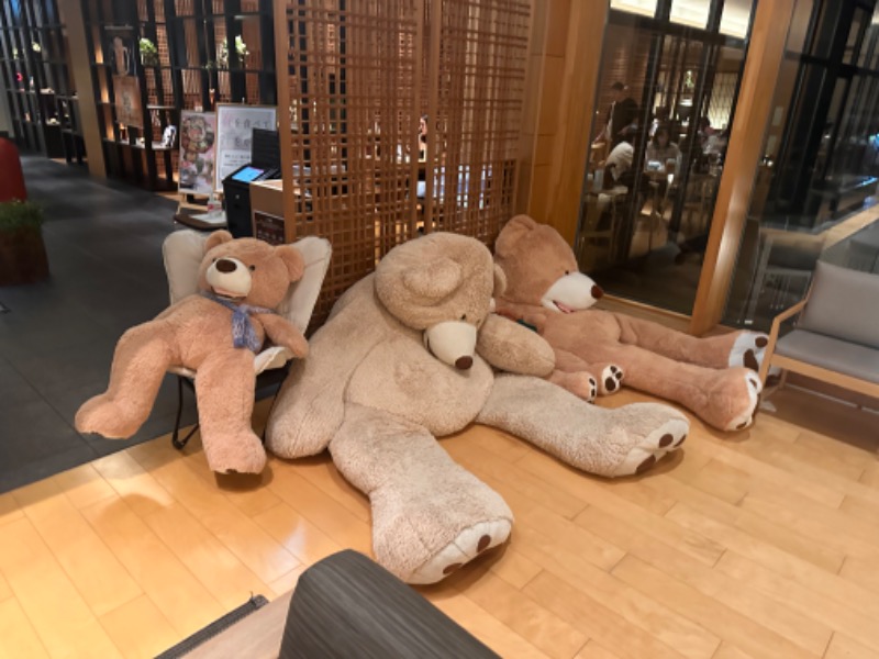 かとちんさんの綱島源泉 湯けむりの庄のサ活写真