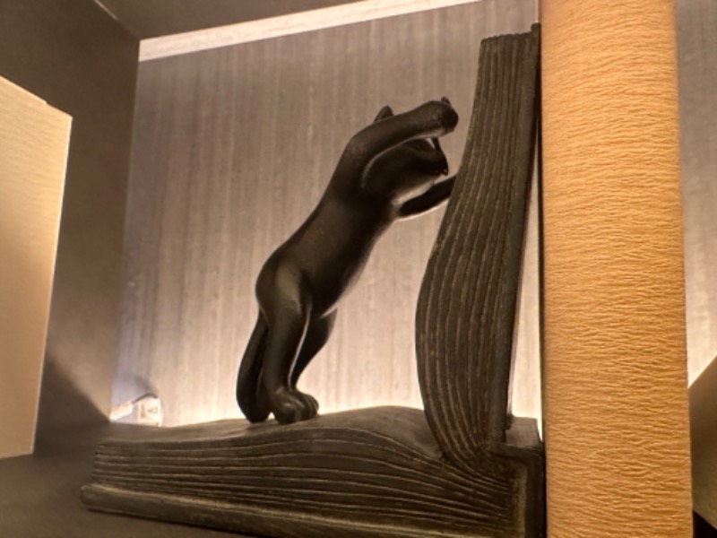 かとちんさんの綱島源泉 湯けむりの庄のサ活写真