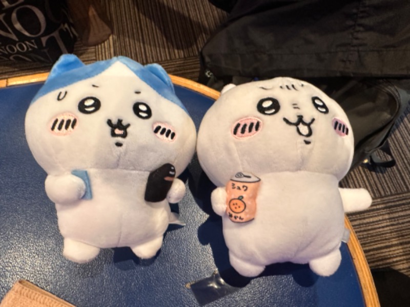 かとちんさんのファンタジーサウナ&スパおふろの国のサ活写真