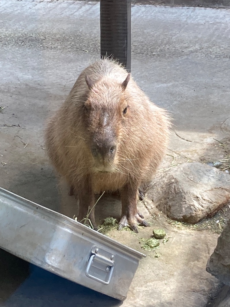 ランとサウナとビールさんの石狩天然温泉 番屋の湯のサ活写真