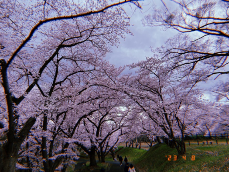 にゃぴたろうさんの天童最上川温泉 ゆぴあのサ活写真