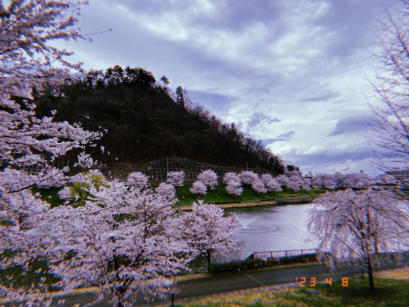 にゃぴたろうさんの天童最上川温泉 ゆぴあのサ活写真