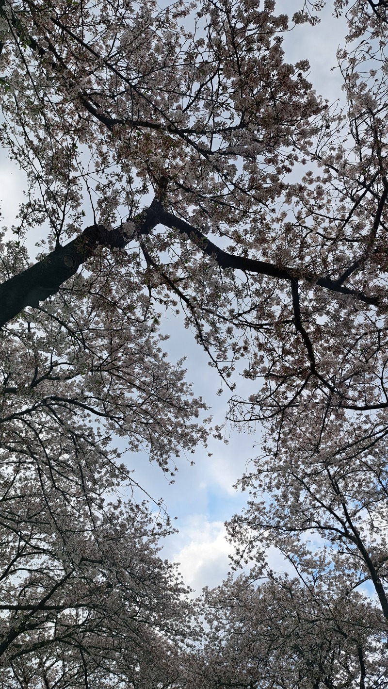 フジイさんの湯の泉 東名厚木健康センターのサ活写真