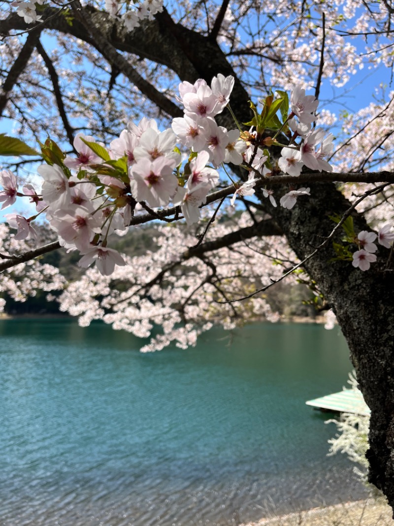 やすさんの湖畔の楽園ドラゴンサウナのサ活写真