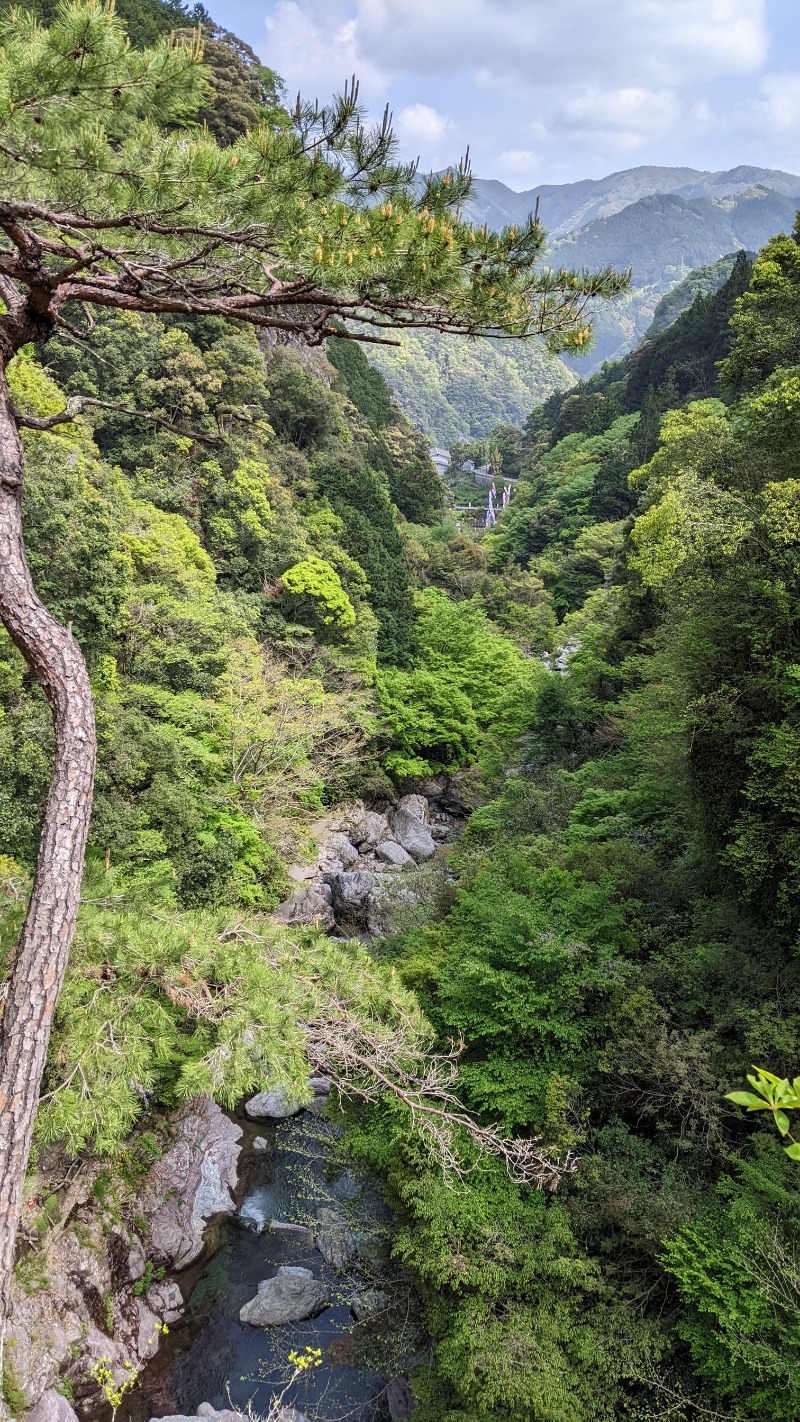 😽あかねさんの中津渓谷 ゆの森のサ活写真