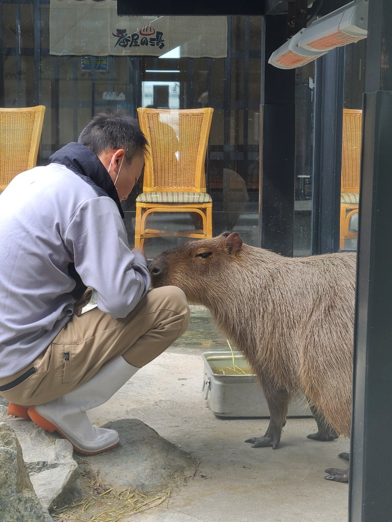 焼き鳥つくねパンさんの石狩天然温泉 番屋の湯のサ活写真