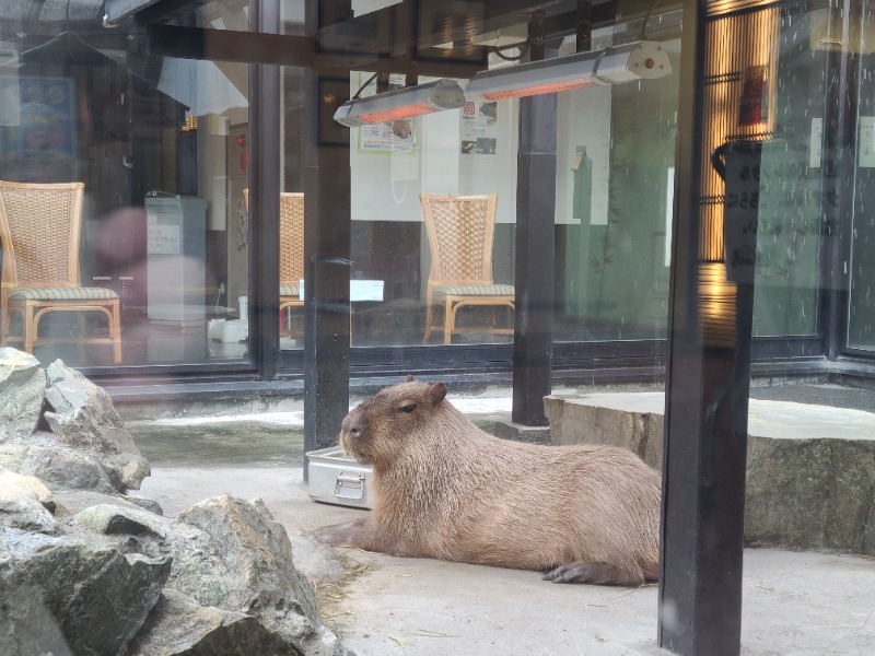 焼き鳥つくねパンさんの石狩天然温泉 番屋の湯のサ活写真