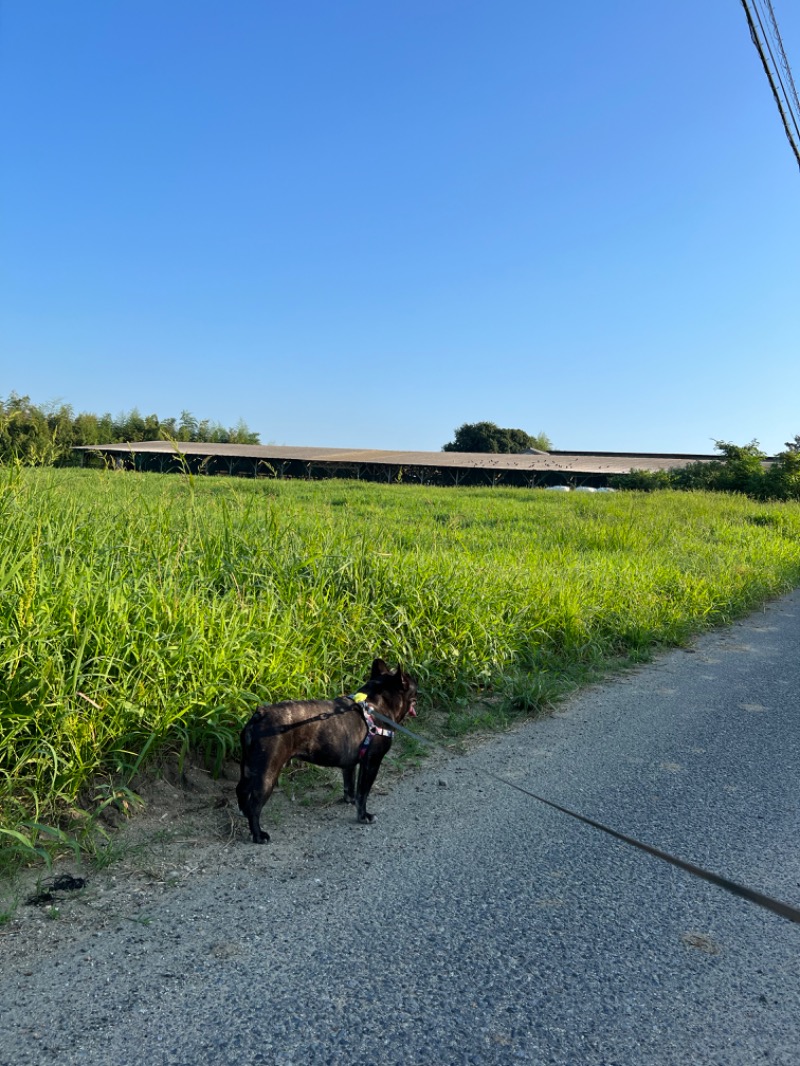 エロ犬さんのウェルビー今池のサ活写真