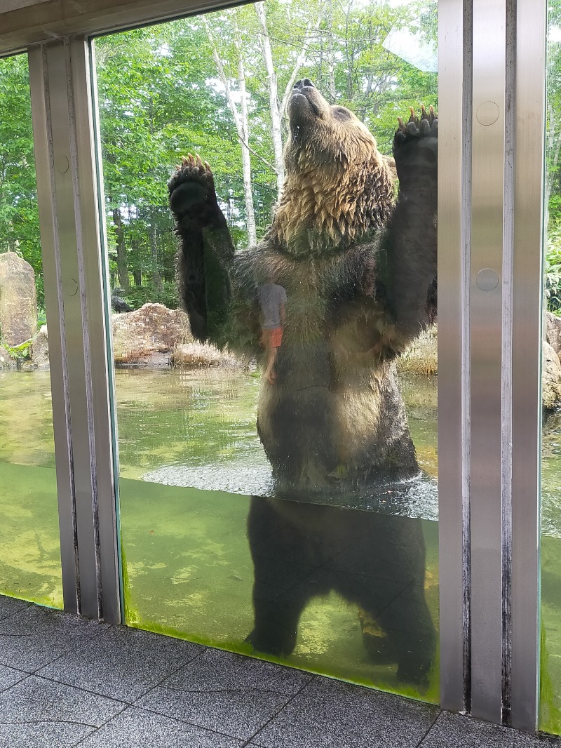 ぺろ👨🏻‍🦲さんの森のスパリゾート 北海道ホテルのサ活写真