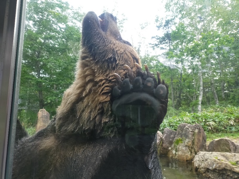 ぺろ👨🏻‍🦲さんの森のスパリゾート 北海道ホテルのサ活写真