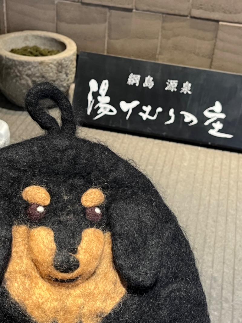 ゆっきさんの綱島源泉 湯けむりの庄のサ活写真