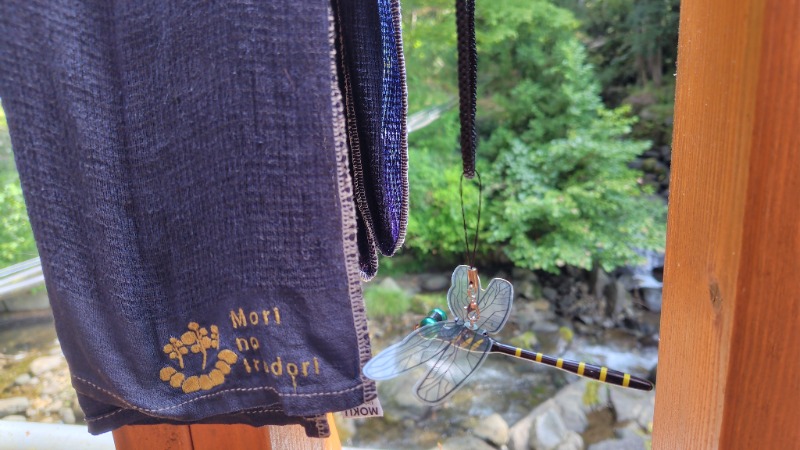 KAZU時々クマさんさんの天子荘 てんからハウスのサ活写真