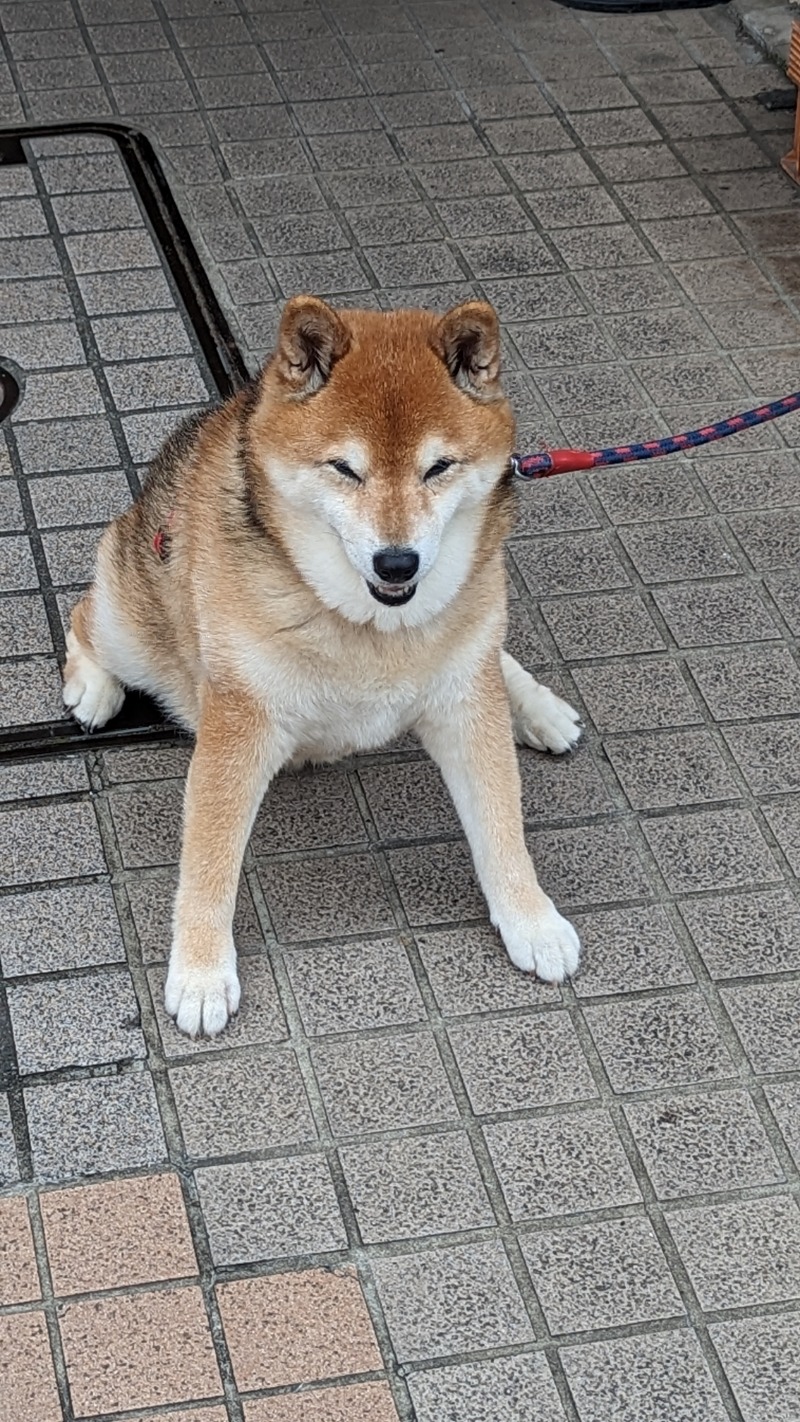 鹿💯🏖️🌤️さんのサウナ&ホテル かるまる池袋のサ活写真