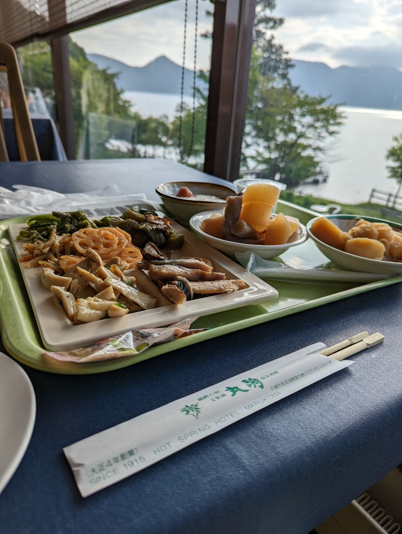 半額王子さんの奥札幌の秘湯 湖畔の宿支笏湖 丸駒温泉旅館のサ活写真