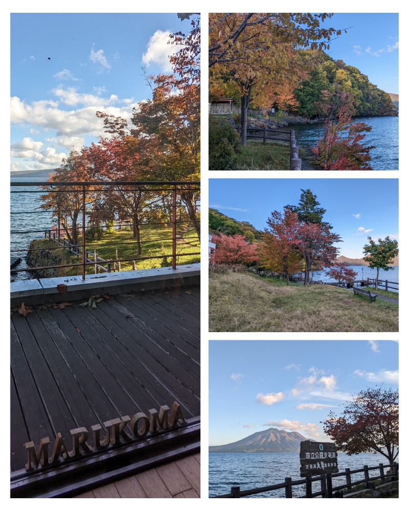 半額王子さんの湖畔の宿支笏湖 丸駒温泉旅館のサ活写真