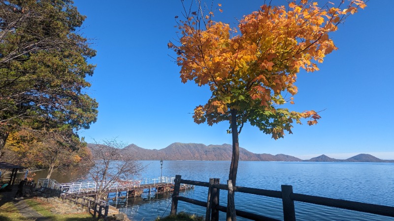 半額王子さんの湖畔の宿支笏湖 丸駒温泉旅館のサ活写真
