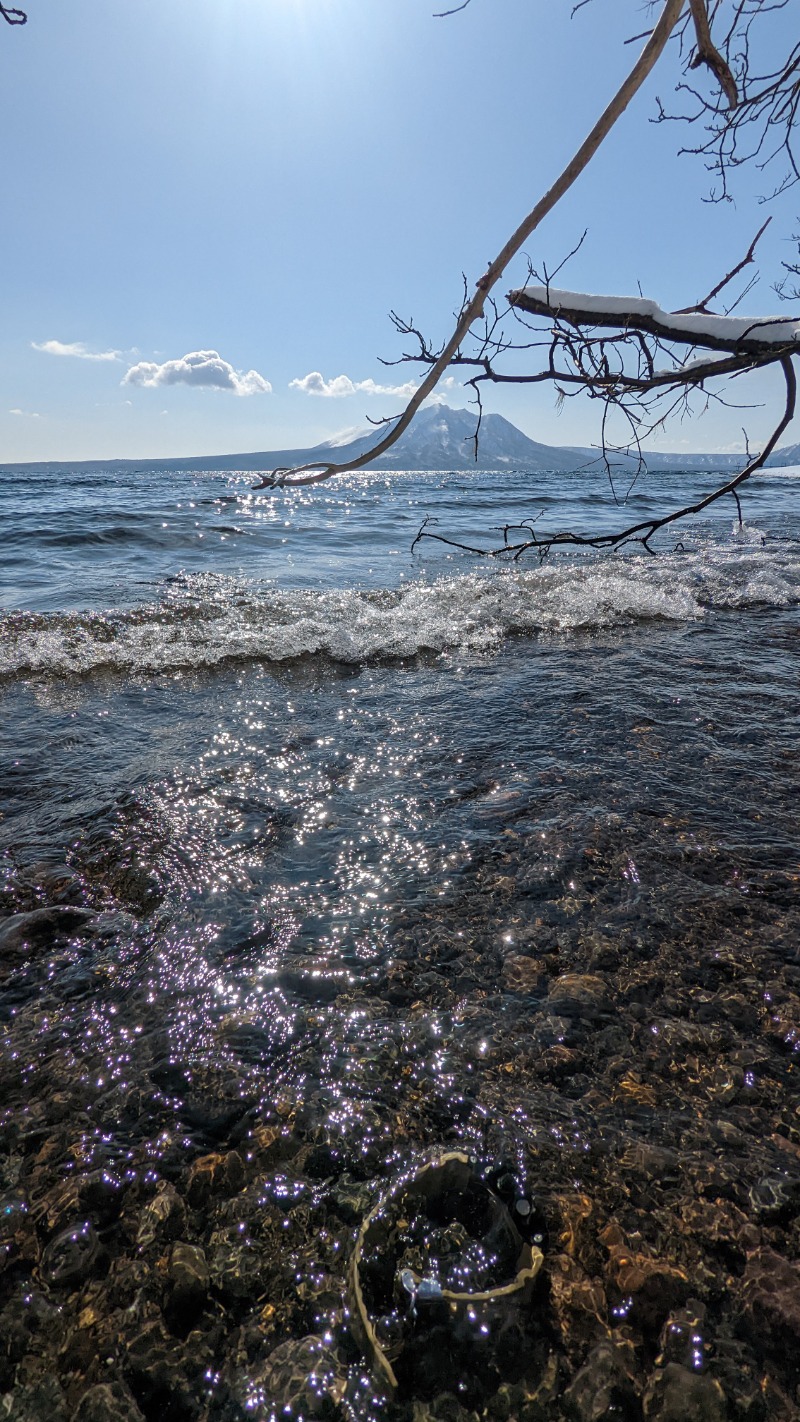 半額王子さんの奥札幌の秘湯 湖畔の宿支笏湖 丸駒温泉旅館のサ活写真