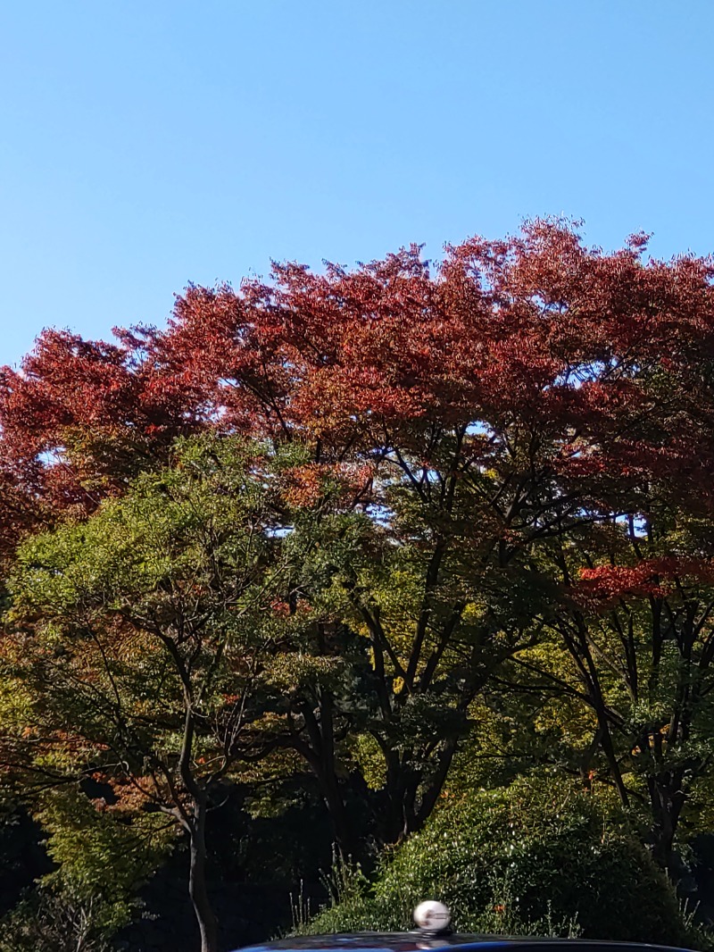 MR.SAUNAさんの天然温泉 満天の湯のサ活写真